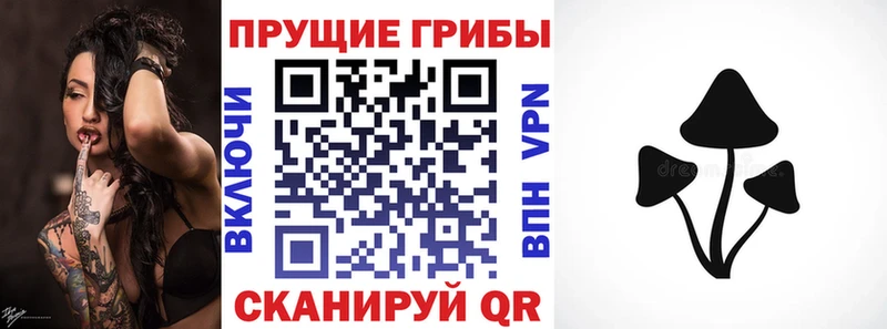 Купить где  Пестово  Галлюциногенные грибы ЛСД 